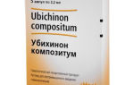 Убихинон композитум — препарат, способствующий укреплению организма, все о гомеопатии