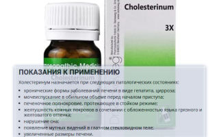 Холестеринум (Cholesterinum) — снижаем уровень холестерина, все о гомеопатии