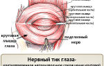 Нервный тик (подёргивание мускулов) глаза — непроизвольное элементарное движение, все о гомеопатии