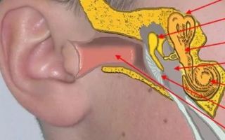 Язвочка с внутренней стороны губы — традиционные и нетрадиционные методы лечения, все о гомеопатии