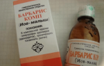 Гомеопатические препараты для лечения золотистого стафилококка — показания и противопоказания, все о гомеопатии