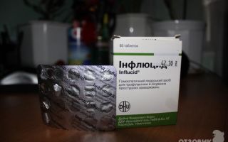 Инфлюцид (Influcid) — комплексное гомеопатическое средство от простуды, все о гомеопатии