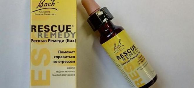 Симптомы, причины и лечение маниакально-депрессивного психоза — все о гомеопатии