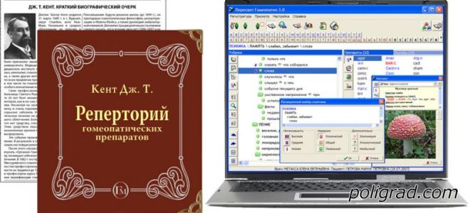 Реперториум, как инструмент систематизации в гомеопатии — справочник симптомов, все о гомеопатии