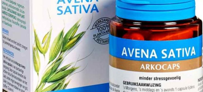 Гомеопатическое лекарство Авена сатива (Avena sativa) — все о гомеопатии