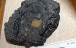 Гекла лава (Hekla lava) — зола вулкана Геклы, все о гомеопатии