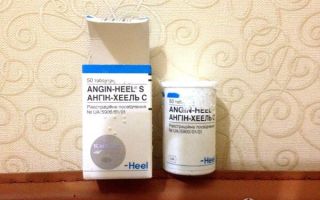 Ангин Хель (Angin heel) — препарат комплексного действия для укрепления иммунитета, все о гомеопатии