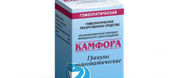 Камфора — подробное описание, все о гомеопатии