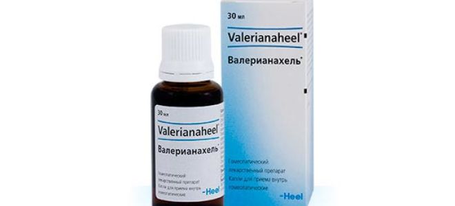 Валерианахель (Valerianaheel) — пероральные прозрачные капли, все о гомеопатии