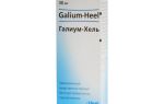Галиум хель (Galium-Heel) — средство с комбинированным составом, все о гомеопатии