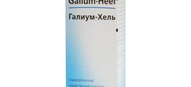 Галиум хель (Galium-Heel) — средство с комбинированным составом, все о гомеопатии